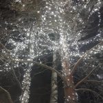 Монтаж новогодних украшений на деревьях
